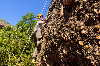 Uinta Camp and Climb 8/14-8/16