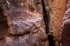 Fall Canyoneering (9/11-9/13)