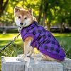 Purple Paw Parade