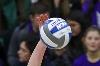 WSU volleyball vs. Montana St.