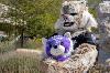 Homecoming Safari Party